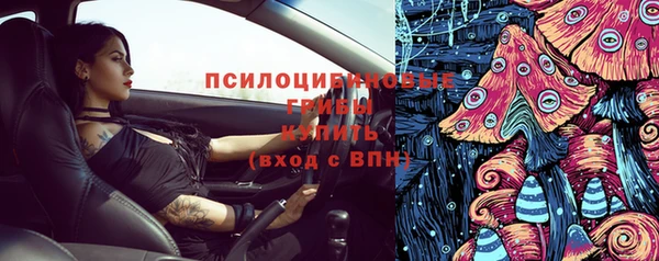шишки Богородск