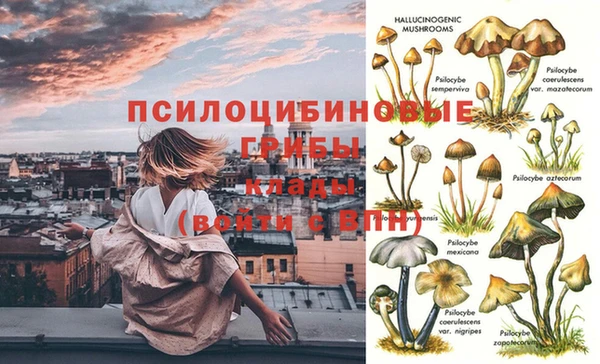 мдпв Бронницы