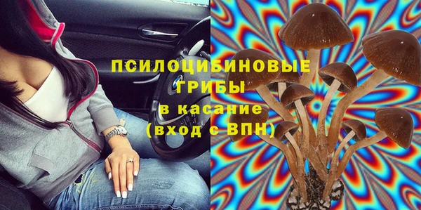 дживик Белокуриха