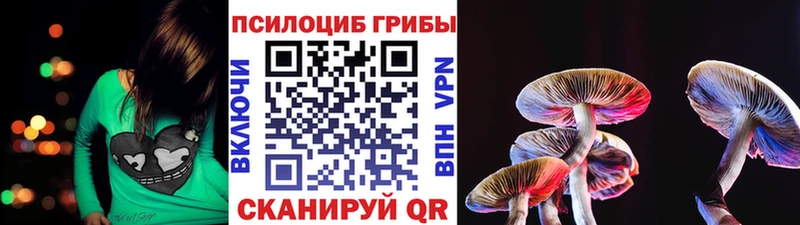 Псилоцибиновые грибы MAGIC MUSHROOMS  как найти закладки  Верхняя Тура 