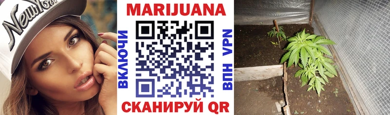наркота  Верхняя Тура  Бошки марихуана OG Kush 